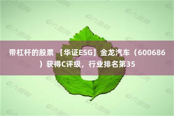 带杠杆的股票 【华证ESG】金龙汽车（600686）获得C评级，行业排名第35