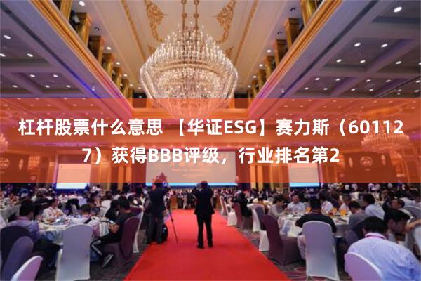 杠杆股票什么意思 【华证ESG】赛力斯（601127）获得BBB评级，行业排名第2