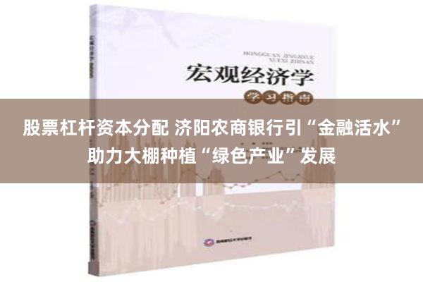 股票杠杆资本分配 济阳农商银行引“金融活水”助力大棚种植“绿色产业”发展