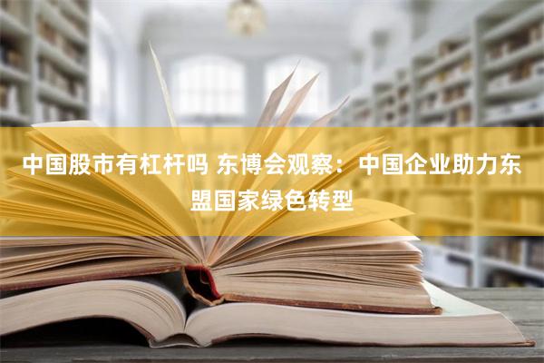 中国股市有杠杆吗 东博会观察：中国企业助力东盟国家绿色转型