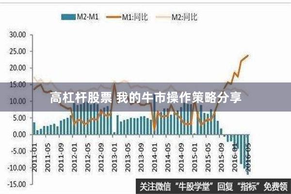 高杠杆股票 我的牛市操作策略分享