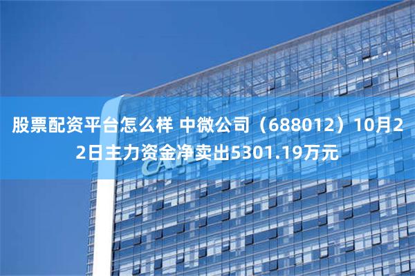 股票配资平台怎么样 中微公司（688012）10月22日主力资金净卖出5301.19万元