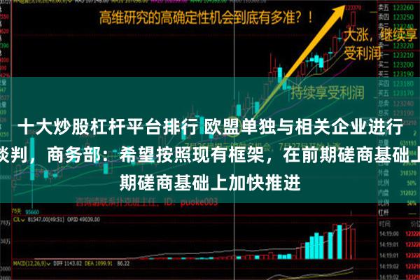 十大炒股杠杆平台排行 欧盟单独与相关企业进行价格承诺谈判，商务部：希望按照现有框架，在前期磋商基础上加快推进