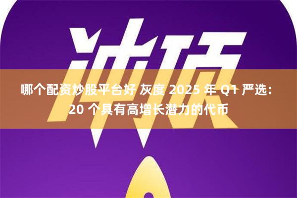 哪个配资炒股平台好 灰度 2025 年 Q1 严选: 20 个具有高增长潜力的代币